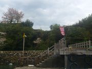 �J�I������̔\����Ղ̓��e�ʐ^1