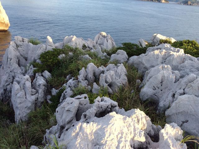 �������_����C��