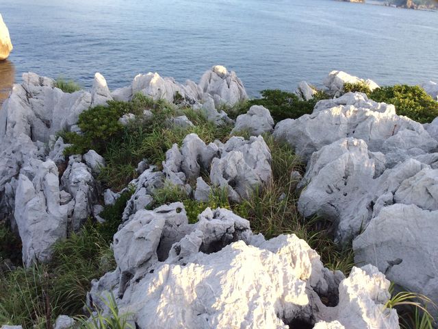 �������_����C��