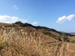 油絵 風景画 ✡️ 兵庫県砥峰高原【P30】【10月】 絵画