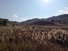 砥峰高原の写真一覧 - じゃらんnet