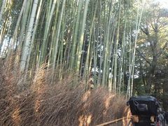 ݂ǂ݂ǂ̒|т̓ւ̓eʐ^1