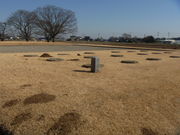 gV[̉썑򎛐Ղ̓eʐ^1