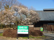 gV[̃VFAXy[X閾O(RƏZ)̓eʐ^1