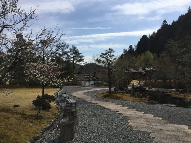 ͂̂悤Ȕ뉀ɂ܂_ʘI̗