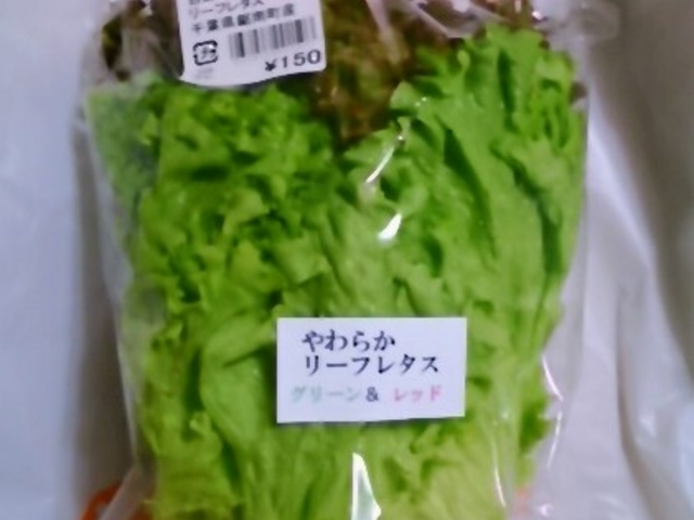 w炩[t^XxB_̉w ۓcwZ