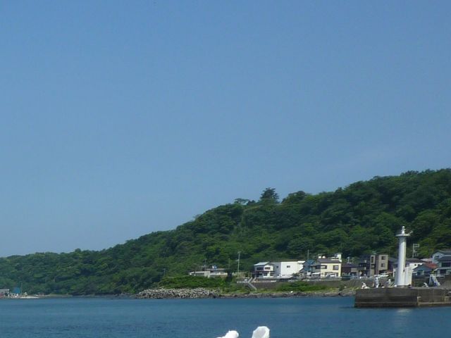 ���邩�l_��ނ��邩�l����