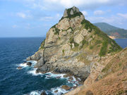 �C���J���񂳂�̖�ړW�]���̓��e�ʐ^1