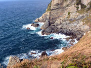 �C���J���񂳂�̖�ړW�]���̓��e�ʐ^2