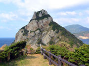 �C���J���񂳂�̖�ړW�]���̓��e�ʐ^3