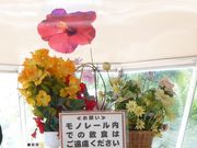 湯の華アイランド アクセス 営業時間 料金情報 じゃらんnet