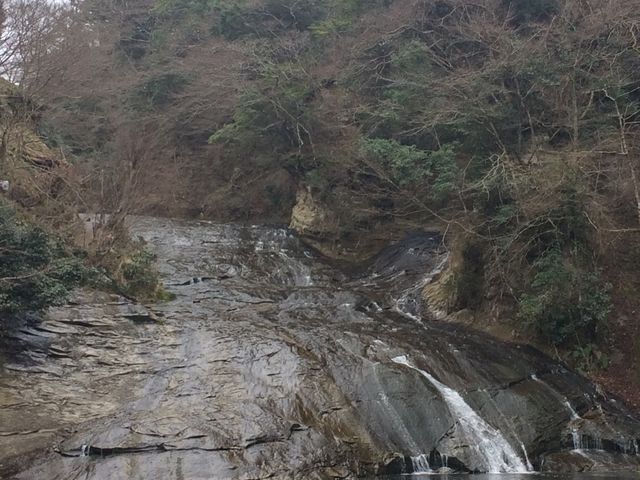 ���ʏ��Ȃ�_�{�V�k�J