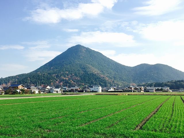 RY16̎ORiߍ]xmj̓eʐ^1