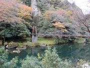 �C���J���񂳂�̗��v�b���̓��e�ʐ^2