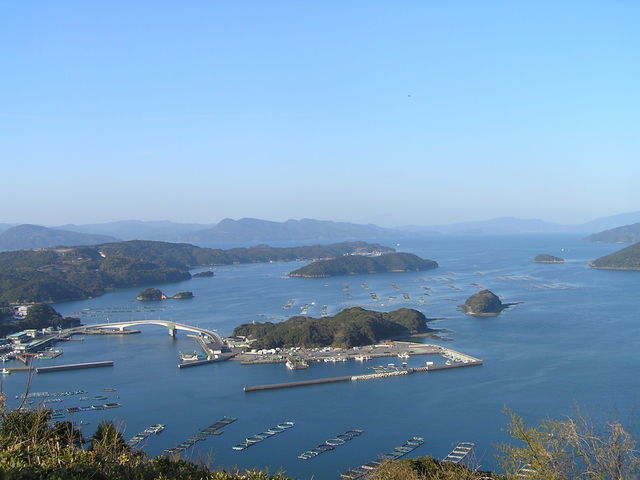 ���񂴂񂳂�̐j�������̓��e�ʐ^1