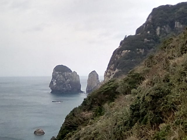 ���񂴂񂳂�̑O�̕��W�]���̓��e�ʐ^1