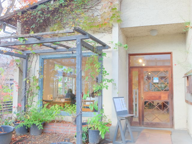 X͂qlœĂ܂_݂̖؁@ZAKKA@cage