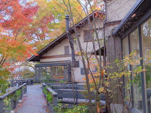 BƂ̂悤ȘȂ܂_H̉~ Ȃ