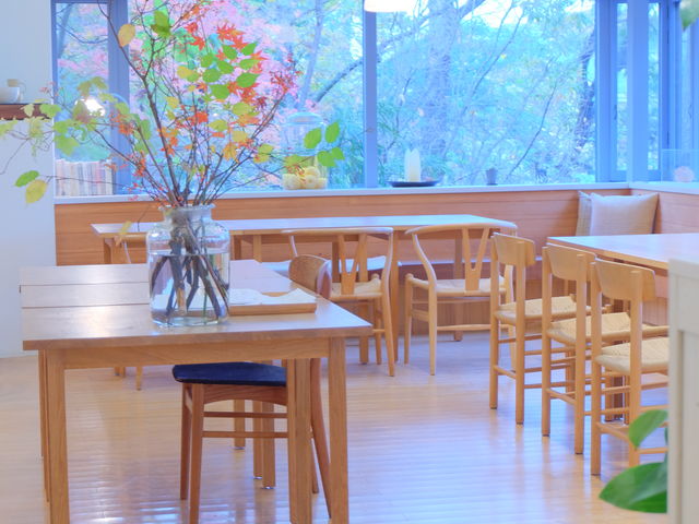 ؂̂ʂƑN₩ȍgtՂ߂鑋̌iF_H̉~ Ȃ