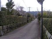 񂴂񂳂̊Ɖ~Q̓eʐ^1