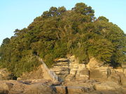 ���񂴂񂳂�̏��l��Õ��Q�̓��e�ʐ^1