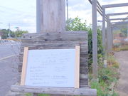 ݂ۂ񂳂̎R̋xe@Berryfs Life̓eʐ^1