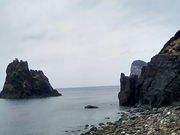 񂴂񂳂̃i|I̓eʐ^1