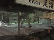 ̂т񂳂̖kze̓eʐ^1