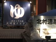 ̂т񂳂̖kze̓eʐ^2