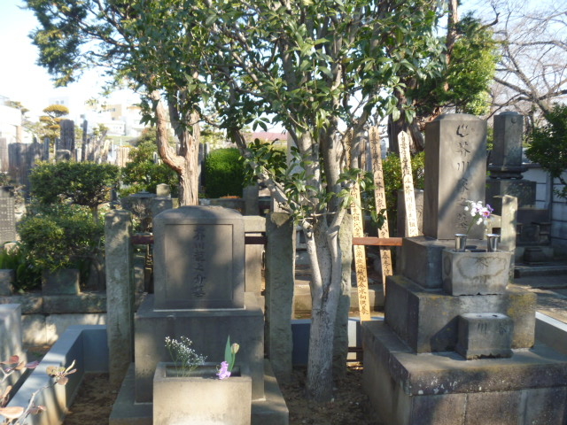 �H�열�V��̕�_�H�열�V��̕�