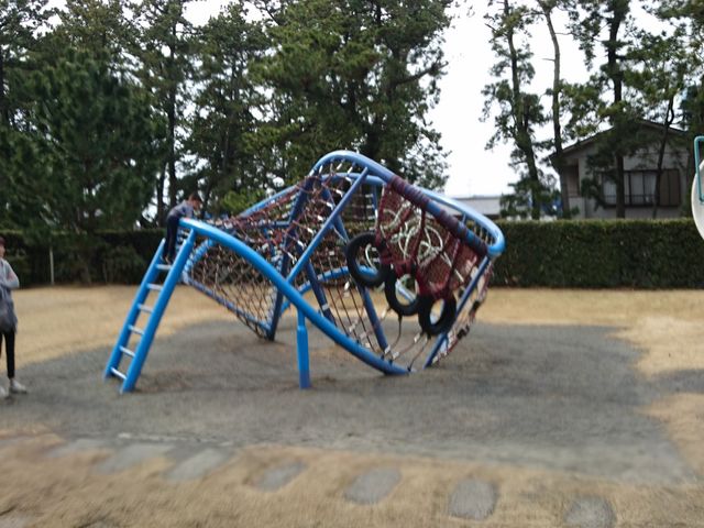 �f�B�X�J�o���[�p�[�N�ĒÓV���Ȋw��