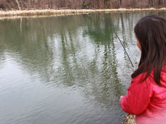 񂳂̓ߐ{tBbVOJbWւ̓eʐ^2