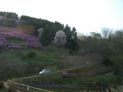 `܂˂̖kt[p_CX̓eʐ^2