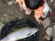 񂳂̓ߐ{tBbVOJbW̓eʐ^1