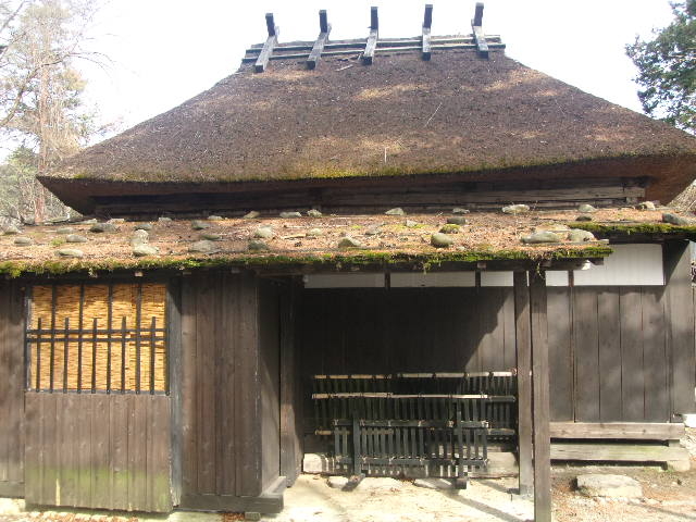 ��\�����f�p�ȕ���ł��ˁB_���{��