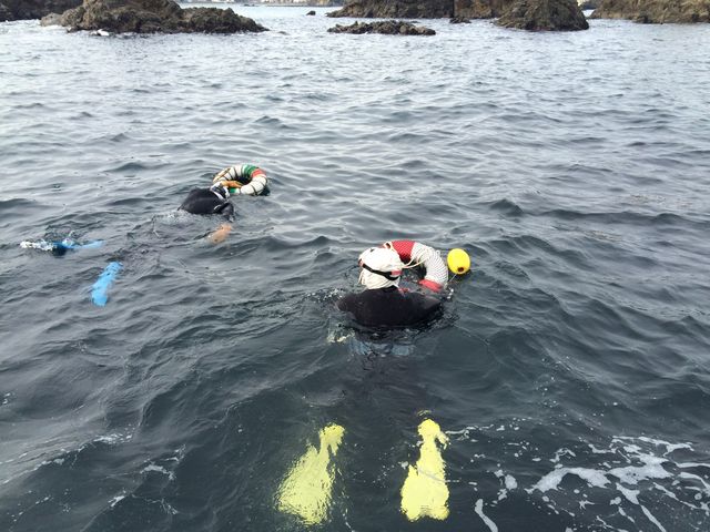 �C�����񂽂����A���ɏo��I_�C���V�������