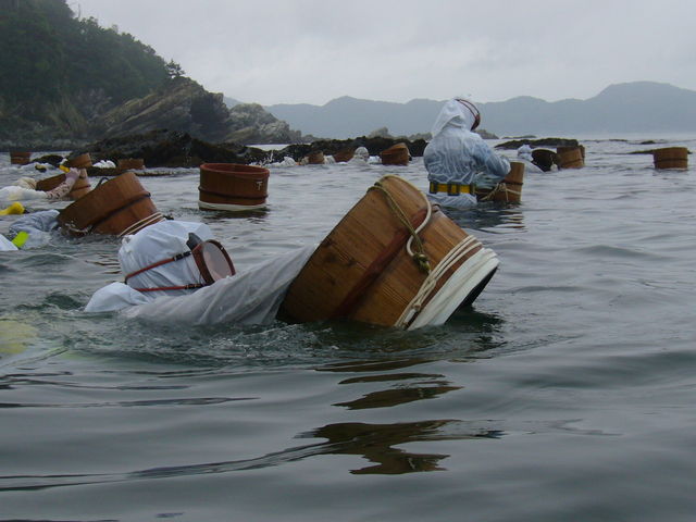 �����E����񂲂܂�
�C�����񂽂��̐_���ł��B_�C���V�������