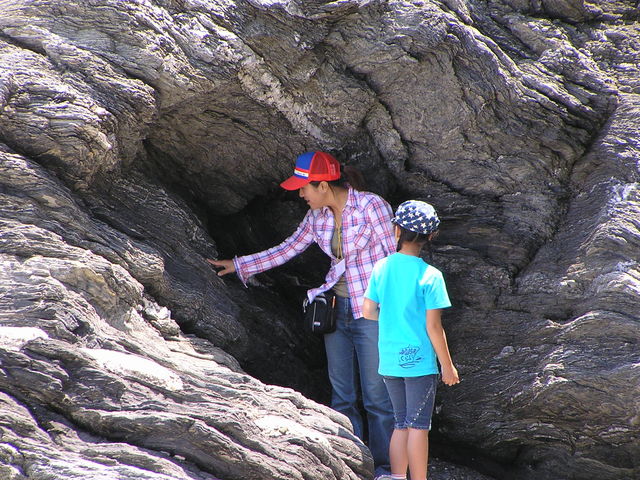 �����ŁA���l�����`�c�A�[
���̐H�ނ����ς��I�o�����Ă̂��ٓ����A���l�܂œ͂��܂��I_�C���V�������