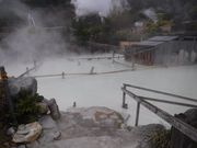 R~ꂳ̕ʕ{ۗ{h̓eʐ^1