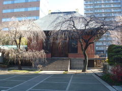 �g�V���[����̑P�����ւ̓��e�ʐ^1