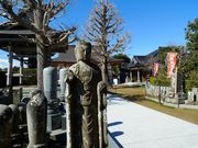 �g�N�T������̘@�Ԏ��i��l�ˁE���\���Ε��j�̓��e�ʐ^3