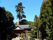 �g�N�T������̍���_�Ђ̓��e�ʐ^3