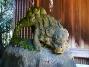 �g�N�T������̍���_�Ђ̓��e�ʐ^5