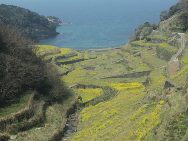 �l��Y�I�c�E�؂̉ԒI�c�Q�b�g_�l��Y�̒I�c