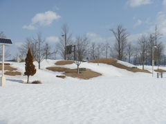 gV[̂ނĂiŏ㒆jւ̓eʐ^1