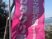 tomo̖qVJ^N̉Ԃ̓eʐ^2