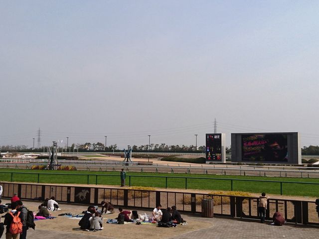 �n��_�������n��