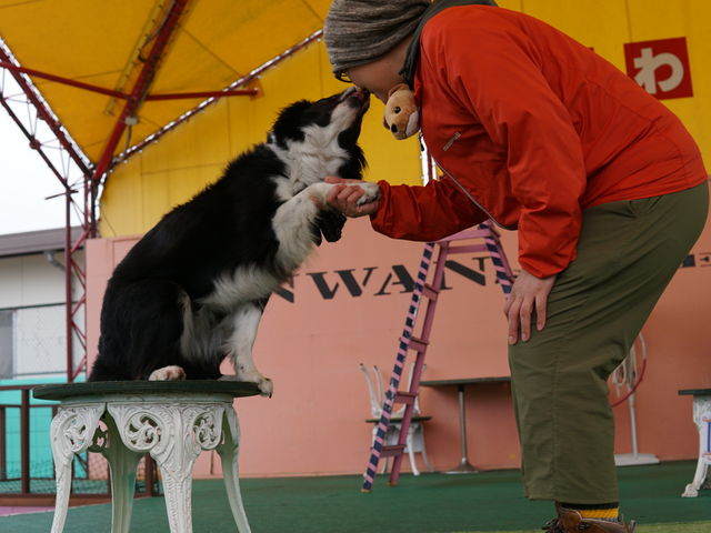 Xe[W֏オ点Ă炢A_΂񃉃h