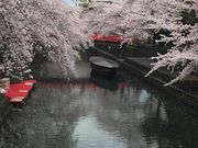 ���}�}����̑D���`�Ղ̓��e�ʐ^1