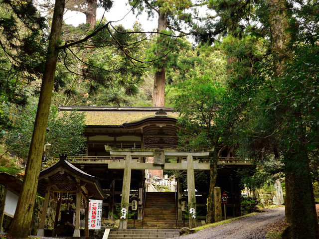 �R��_��_�R��_��